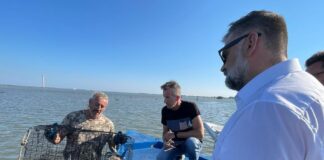 Granchio blu, sopralluogo del senatore De Carlo: “Problema da eradicare il maniera decisa” granchio de carlo