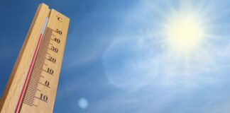 Caldo, stato di allarme climatico per disagio fisico fino a domenica 27 agosto: numeri e servizi utili del Comune di Vicenza e Ulss 8