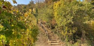 Parco del Risorgimento a Vicenza, due signore rimaste chiuse all’interno e “liberate” dalla Polizia