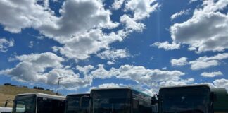 Vicenza prima in Veneto per autobus poco inquinanti (64% Euro 5 e 6) svt corriera