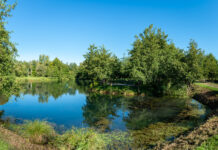 Giornata Mondiale dell’Acqua 2025: il programma promosso da Viacqua nel Vicentino Giornata Mondiale dell’Acqua