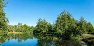 Giornata Mondiale dell’Acqua 2025: il programma promosso da Viacqua nel Vicentino Giornata Mondiale dell’Acqua