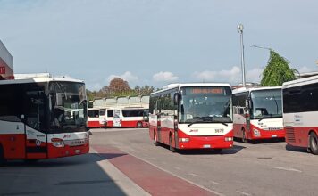 Trasporto pubblico SVT in crisi, USB Vicenza: “Servizio ridotto, autisti allo stremo. Serve un tavolo permanente” Linea 20 CentroBus svt