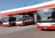 Aggressioni sui mezzi Svt, Rucco (FdI): “Serve un salto di qualità nelle misure per la sicurezza” carenza autisti svt parlano cobsiglieri Luisetto e Montanariello sicurezza Rucco