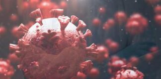 Covid, scoperta Mip-C nuova malattia letale associata al virus. Bassetti: “Nessun allarme”
