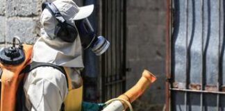 Dengue, oltre 4 milioni di casi in Brasile: quasi 2mila i morti (ma potrebbero essere il doppio)