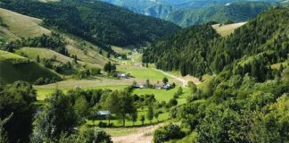 Stati Generali del Comuni montani del veneto, Ciambetti “Montagna patrimonio da tutelare” Ciambetti agli stati generali dei comuni montani turismo vicenza