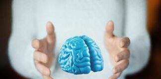 Giornata mondiale del cervello, ‘vita sana e socialità per proteggerlo’