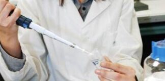 Scacco al segreto di immortalità del glioblastoma, ‘verso nuove cure’