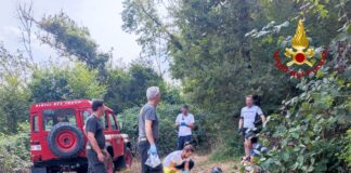 Sarego, Vigili del Fuoco soccorrono 60enne ciclista di Alonte che si sente male lungo un sentiero sui colli Vigili del Fuoco e sanitari soccorrono 60enne ciclista di Alonte su un santiero dei colli a Sarego