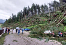 Maltempo Veneto, Nicola Dell’Acqua nominato commissario per gli eventi estate 2023. Bizzotto: “Da Roma 235 Mln al Nord grazie a emendamento Lega” maltempo veneto