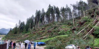 Maltempo Veneto, Nicola Dell’Acqua nominato commissario per gli eventi estate 2023. Bizzotto: “Da Roma 235 Mln al Nord grazie a emendamento Lega” maltempo veneto