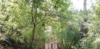 Ruderi di Orsetti a Novale di Valdagno, a spasso nel bosco e nel borgo fantasma ruderi orsetti