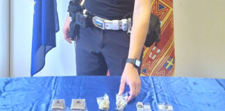 Ragazza arrestata a Torrebelvicino da Polizia Locale Alto e Nordest Vicentino: sorpresa con hashish e marijuana torrebelvicino