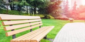 Alberi e clima, un italiano su tre non sa che piante assorbono CO2