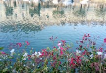 La salute mentale passa anche dall’ambiente e il nord Italia è l’area più inquinata del continente europeo Ambiente ideale