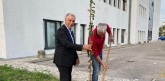 Apindustria Confimi Vicenza: 30 lillà delle Indie piantati in Viale Crispi Apindustria Confimi Vicenza