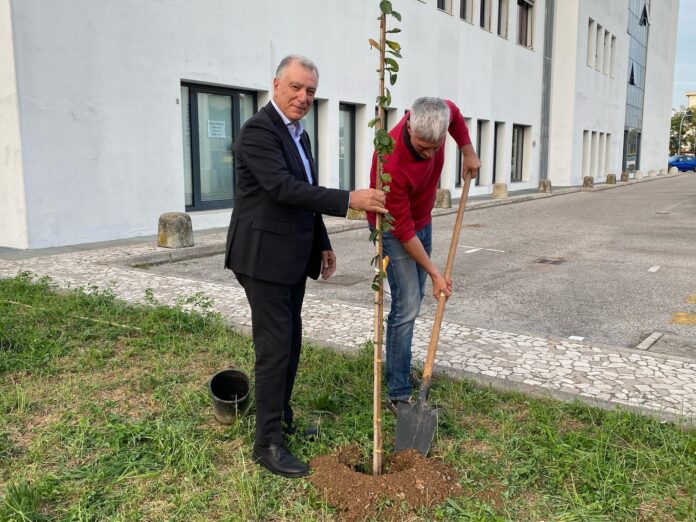 Apindustria Confimi Vicenza