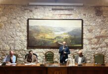 Cinghiali nel Vicentino, il problema affrontato a un tavolo di confronto ad Arcugnano con l’Assessore Corazzari Cinghiali Vicentino