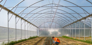 Un prestito obbligazionario per sostenere le aziende agricole, NaturaSì: sottoscritto oltre 1 milione di euro. Il racconto della Green Vegetable di Mogliano Veneto