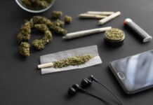 La cannabis fa bene al cuore? Uno studio ammette gli effetti positivi della marijuana