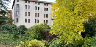 Maltempo: i parchi di Vicenza restano chiusi per vento forte, ma cala il livello dei fiumi maltempo vicenza