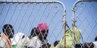 Migranti, primo ok ‘emendamento Musk’. Pd: “E’ vendetta contro i giudici”