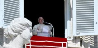 Papa: “Concistoro l’8 dicembre per nomina nuovi cardinali” tra cui il vicentino, di Bassano, padre Fabio Baggio