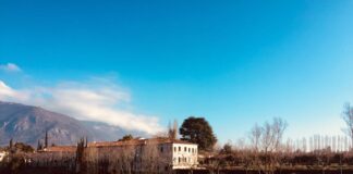 Giornata delle Ville Venete nel weekend: oltre 120 esperienze sparse per più di settanta ville aderenti. Zaia: “Occasione unica” Giornata delle Ville Venete