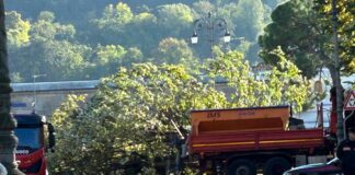 Vento forte su Vicenza, grande tiglio cade a Campo Marzo vicino ex chiosco abbattuto: paura e 5 feriti. Possamai: perito valuterà cause Albero caduto nella zona di Campo Marzo a Vicenza