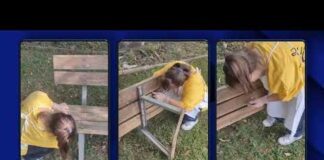 “Progetto 739”, ULSS 8 Berica con Caritas, Serenissima Ristorazione, Legambiente e Circolo Noi San Lazzaro per esperienze lavorative soggetti con disabilità “Progetto 739”, ULSS 8 Berica con Caritas, Serenissima Ristorazione, Legambiente e Circolo Noi San Lazzaro