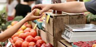 Rilevazione dei prezzi al consumo a Vicenza a settembre 2023