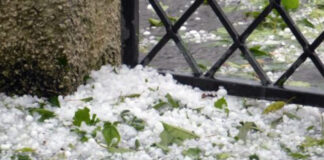 Grandinate e maltempo estivo a Vicenza, via alle richieste di rimborso per cittadini e aziende maltempo vicenza