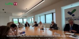 100 mila euro “investiti” da Banca delle Terre Venete per la formazione di manager del cambiamento per le scuole materne paritarie FISM 100 mila € da Banca delle Terre Venete per formare i manager delle scuole materne paritarie FISM