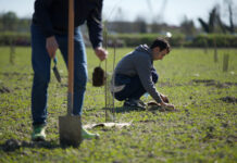 Parco fiume Brenta: per la Festa dell’Albero nuove piantumazioni in comuni del Vicentino e del Padovano parco fiume brenta alberi