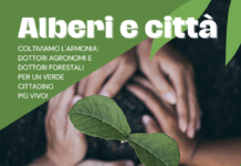 Giornata nazionale degli alberi, a Vicenza convegno tecnico con l’ordine degli agronomi Giornata nazionale degli alberi