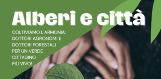 Giornata nazionale degli alberi, a Vicenza convegno tecnico con l’ordine degli agronomi Giornata nazionale degli alberi