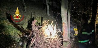 Arzignano, boscaiolo 59enne muore travolto da un ceppo