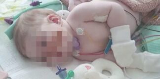 Indi Gregory e il dilemma della Tebe arcaica Indi Gragory (foto da Il Fatto Quotidiano)