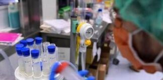 Legionella, il batterio che ama tubature e condizionatori: casi in aumento in Italia