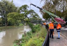 Maltempo Vicenza, allerta rossa fino a mezzanotte: gli interventi delle scorse ore in città Maltempo a Vicenza novembre 2023