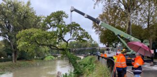 Maltempo Vicenza, allerta rossa fino a mezzanotte: gli interventi delle scorse ore in città Maltempo a Vicenza novembre 2023