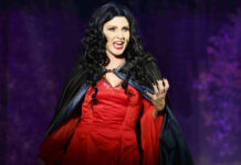 Teatro Comunale di Vicenza, arriva “Rapunzel il Musical” con Lorella Cuccarini nel ruolo della perfida Gothel Rapunzel il musical Cuccarini
