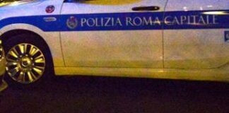 Scooter contro cinghiale a Roma, morto motociclista