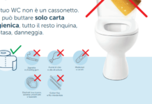 World Toilet Day, cosa si butta nel WC? I gestori idrici del Veneto rispondono con una campagna ad hoc