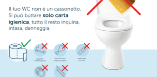 World Toilet Day, cosa si butta nel WC? I gestori idrici del Veneto rispondono con una campagna ad hoc