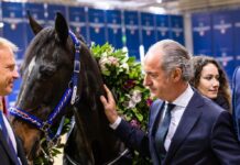 Addio a Varenne, Zaia: “Il Capitano ha fatto sognare l’Italia” Zaia e Varenne