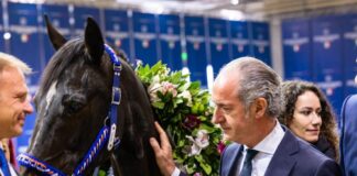 Varenne a Fieracavalli di Verona, l’incontro con Zaia: “Di fronte al più grande è emozione pura” Zaia e Varenne