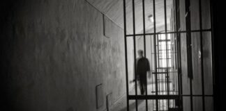 Garante dei detenuti Vicenza, pubblicato l’avviso per la presentazione delle candidature garante detenuti vicenza