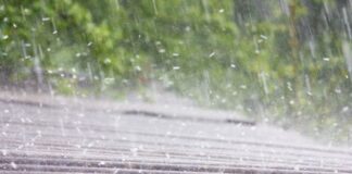 Maltempo estivo a Vicenza, la scadenza per richiedere contributo per i danni Maltempo estivo Vicenza